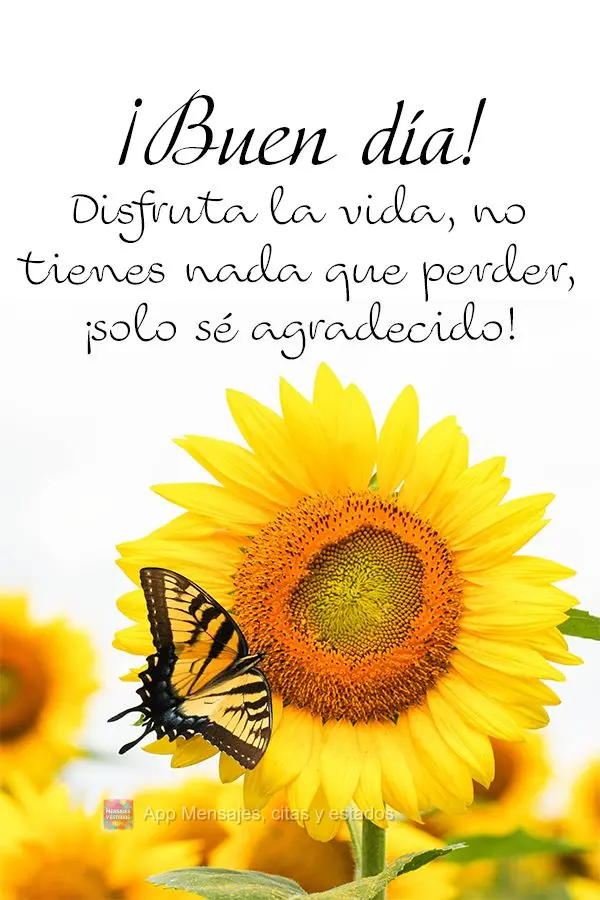 Alegre-se com a vida, você não tem nada a perder, só a agradecer! Bom dia! 