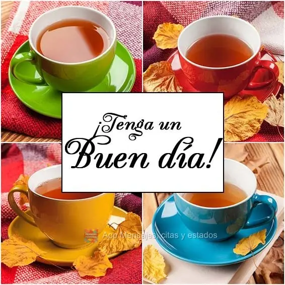 ¡Tenga un buen día!