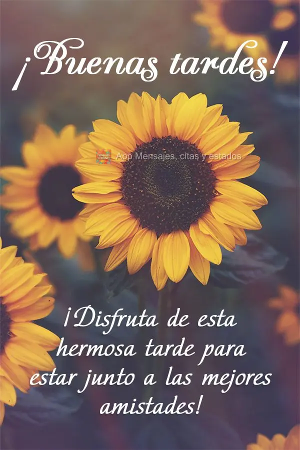 ¡Disfruta de esta hermosa tarde para estar junto a las mejores amistades! ¡Buenas tardes!