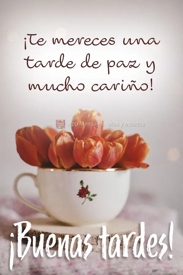 Você merece uma tarde de paz e muito carinho! Boa tarde! 