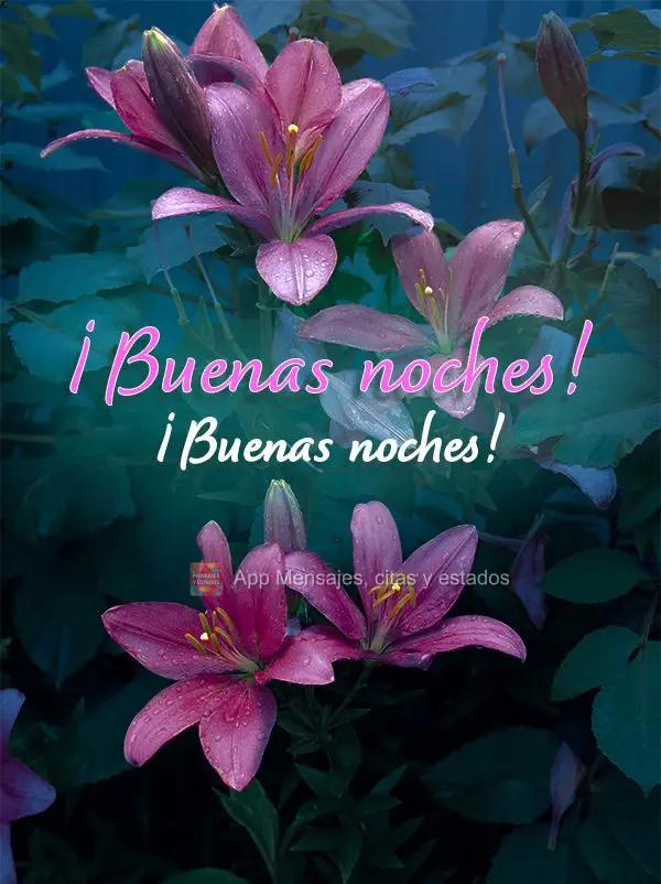 ¡Tenga lindos sueños! ¡Buenas noches!