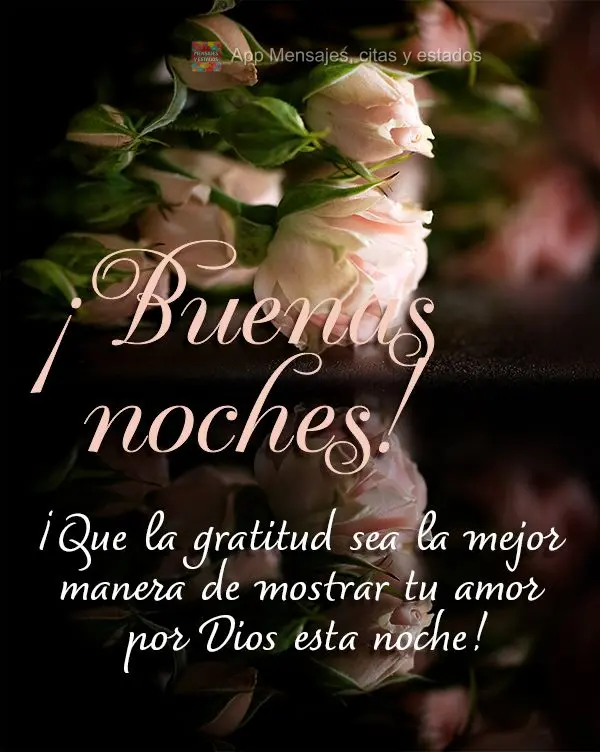 Que a gratidão seja a melhor forma de demonstrar o seu amor por Deus nesta noite! Boa noite! 
