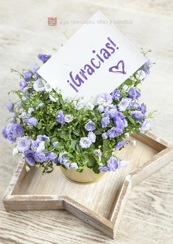 ¡Gracias!