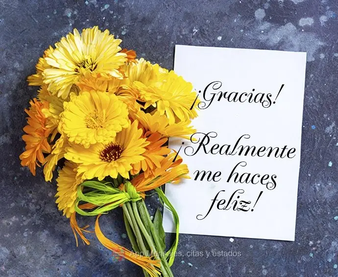 ¡Gracias! ¡Realmente me haces feliz!