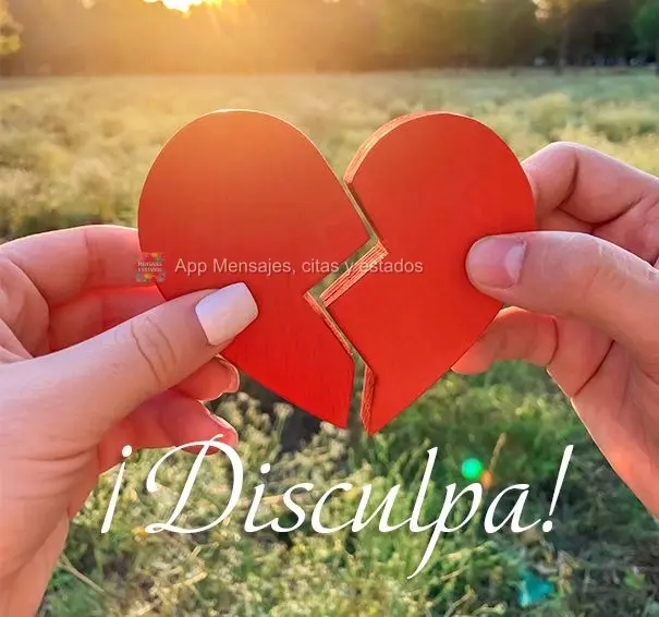 ¡Disculpa!