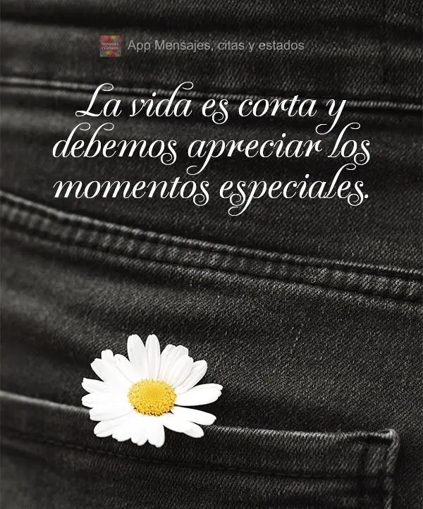 La vida es corta y debemos apreciar los momentos especiales.