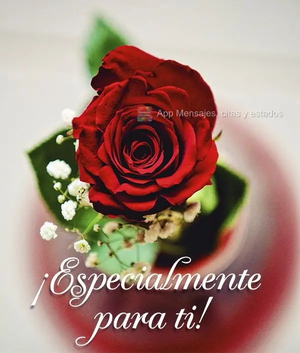 ¡Especialmente para ti!