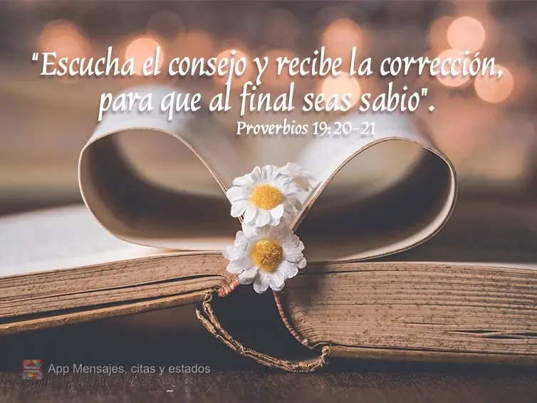 “Escucha el consejo y recibe la corrección, para que al final seas sabio”. Proverbios 19:20-21