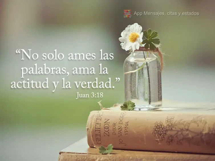 “No solo ames las palabras, ama la actitud y la verdad.” Juan 3:18