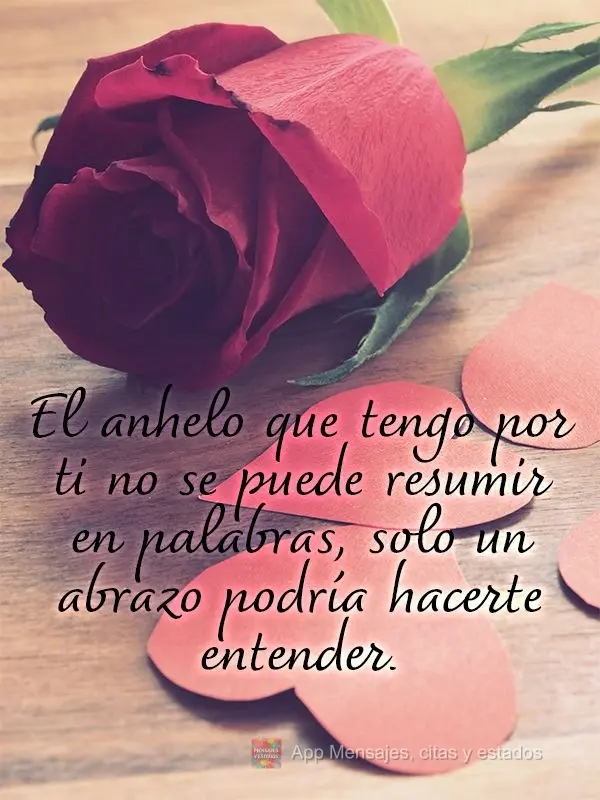 El anhelo que tengo por ti no se puede resumir en palabras, solo un abrazo podría hacerte entender.