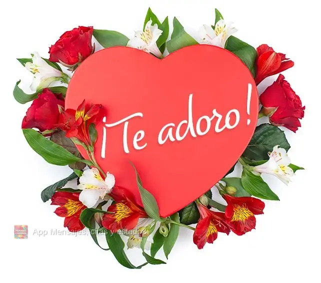 ¡Te adoro!