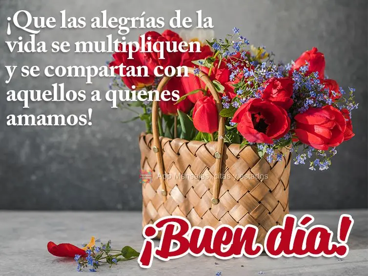 Que as alegrias da vida sejam multiplicadas e divididas com quem a gente ama! Bom dia! 