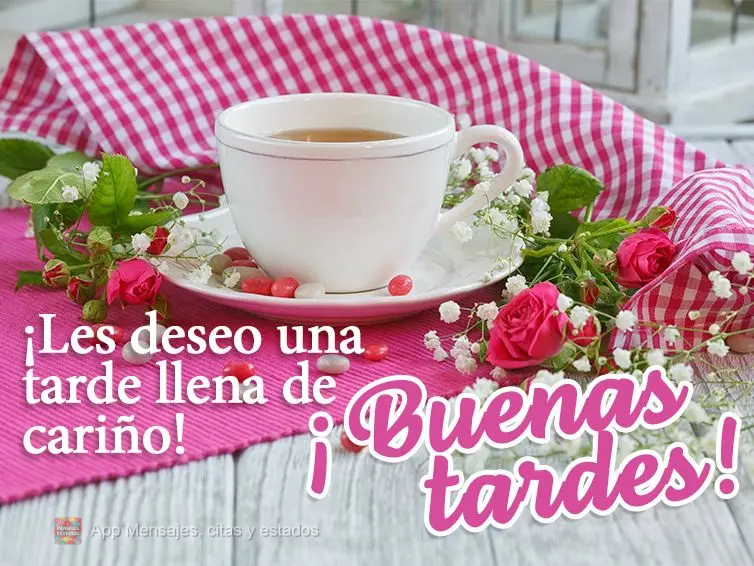 Desejo uma tarde cheia de carinho! Boa tarde!