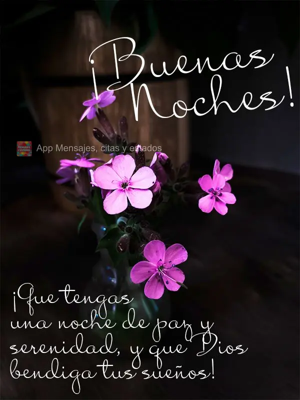 Tenha uma noite de paz e serenidade, e que Deus possa abençoar os seus sonhos! Boa noite!