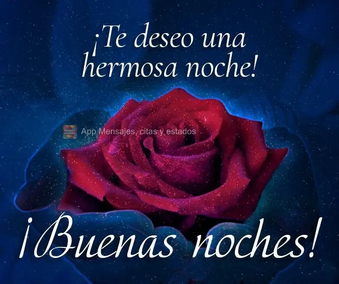 Para você eu desejo uma linda noite! Boa noite! 