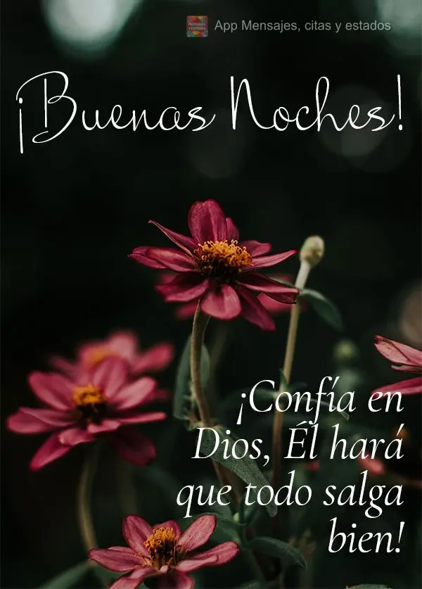 Confia em Deus, Ele fará tudo dar certo! Boa noite! 