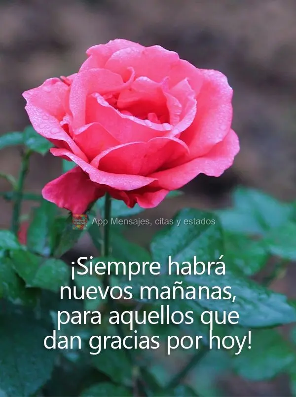 ¡Siempre habrá nuevos mañanas, para aquellos que dan gracias por hoy!