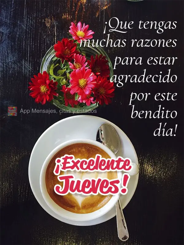 ¡Que tengas muchas razones para estar agradecido por este bendito día! ¡Excelente jueves!