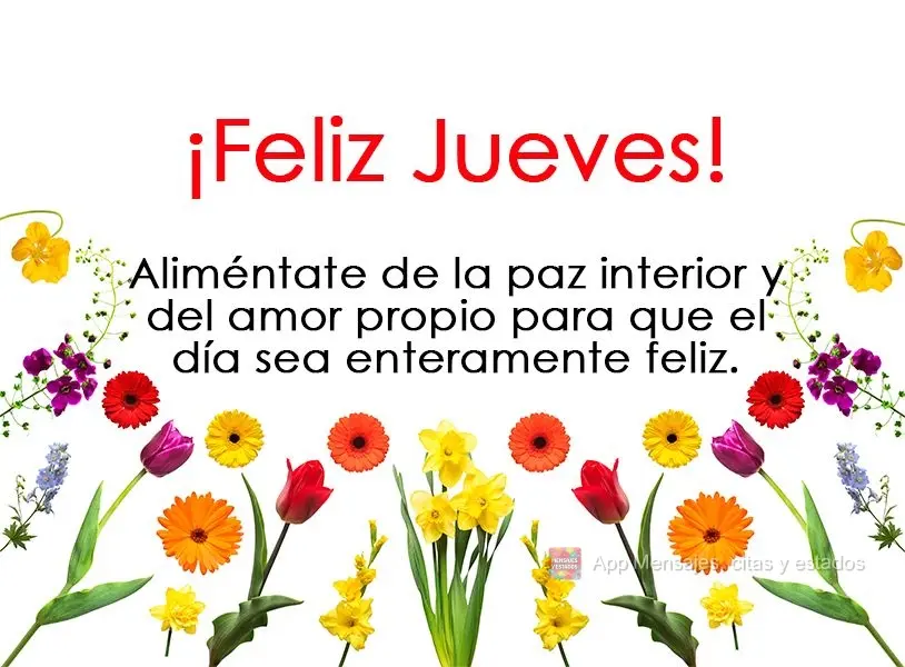Aliméntate de la paz interior y del amor propio para que el día sea enteramente feliz. ¡Feliz jueves!
