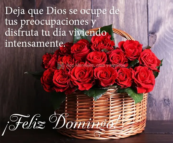 Deja que Dios se ocupe de tus preocupaciones y disfruta tu día viviendo intensamente. ¡Feliz Domingo!