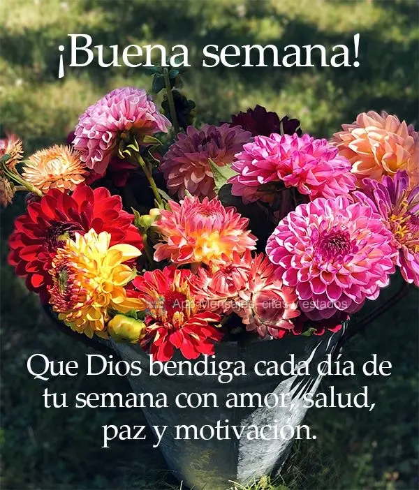 Que Dios bendiga cada día de tu semana con amor, salud, paz y motivación. ¡Buena semana!