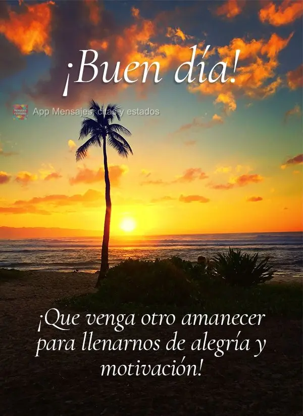 Que venha mais um amanhecer pra nos encher de alegria e motivação! Bom dia!