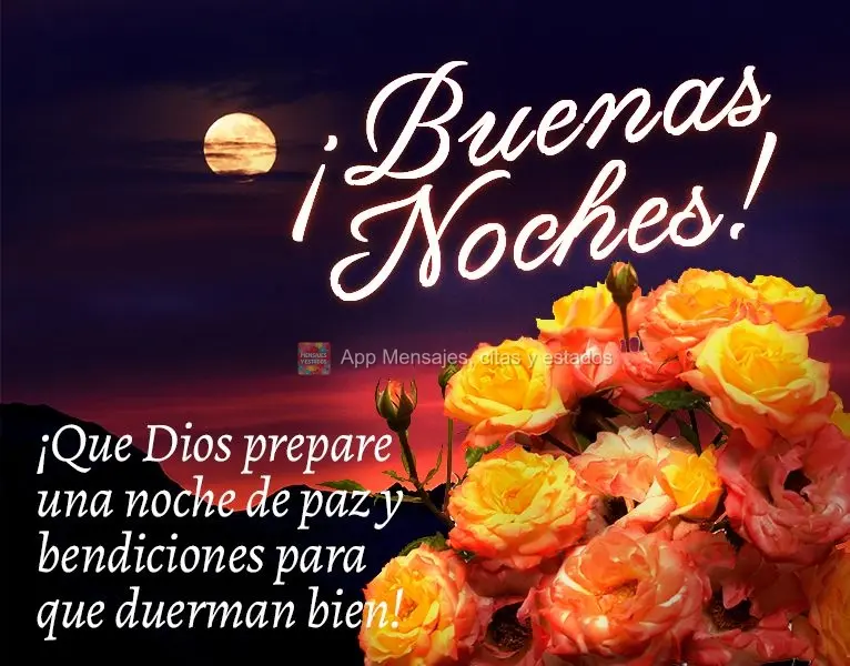 ¡Que Dios prepare una noche de paz y bendiciones para que duerman bien! ¡Buenas noches!