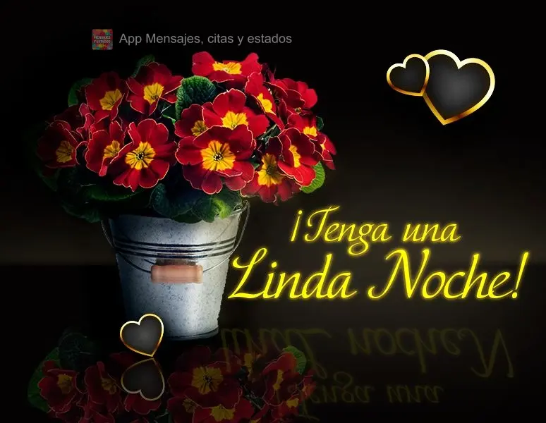 Tenha uma Linda noite!