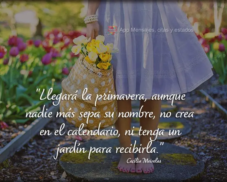 "Llegará la primavera, aunque nadie más sepa su nombre, no crea en el calendario, ni tenga un jardín para recibirla".  Cecília Meireles 