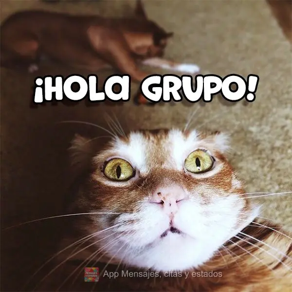 ¡Hola grupo!