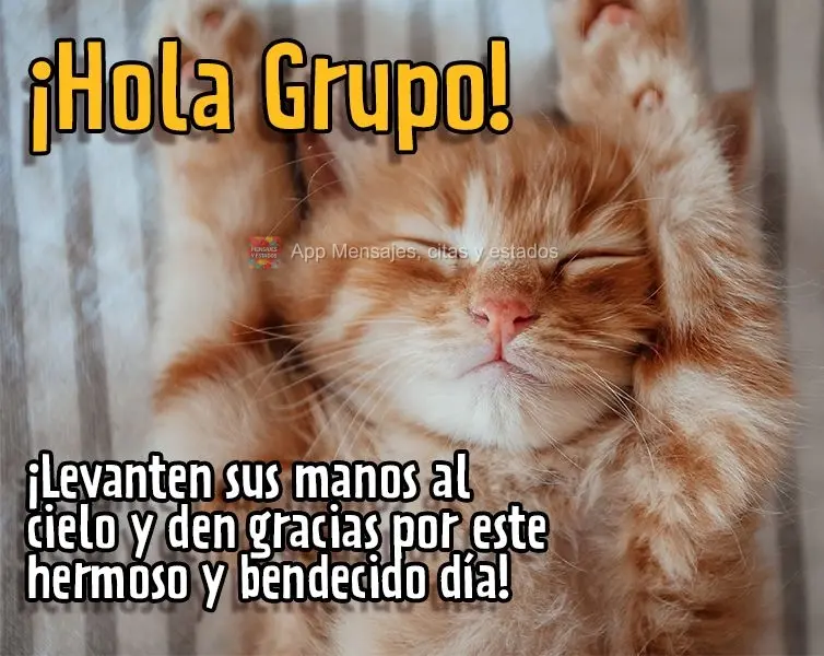 ¡Levanten sus manos al cielo y den gracias por este hermoso y bendecido día! ¡Hola Grupo!