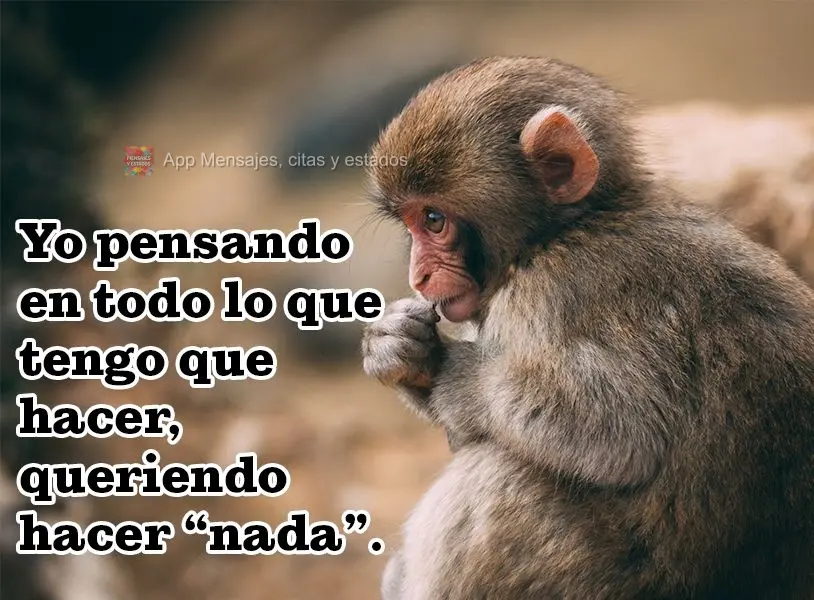Yo pensando en todo lo que tengo que hacer, queriendo hacer “nada”.