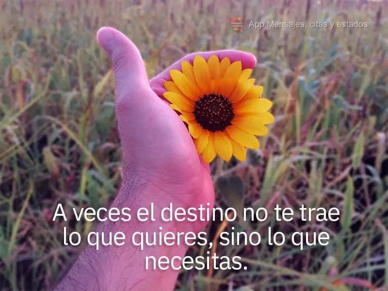 A veces el destino no te trae lo que quieres, sino lo que necesitas.