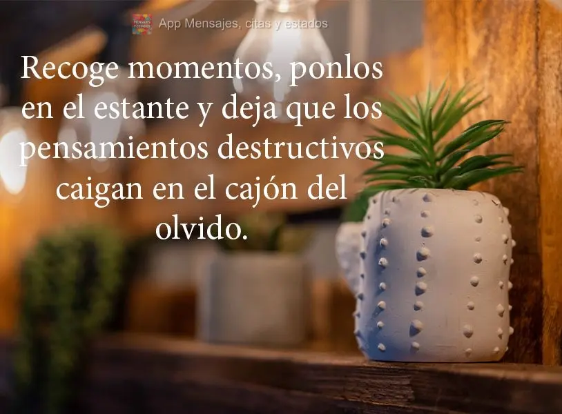 Recoge momentos, ponlos en el estante y deja que los pensamientos destructivos caigan en el cajón del olvido.