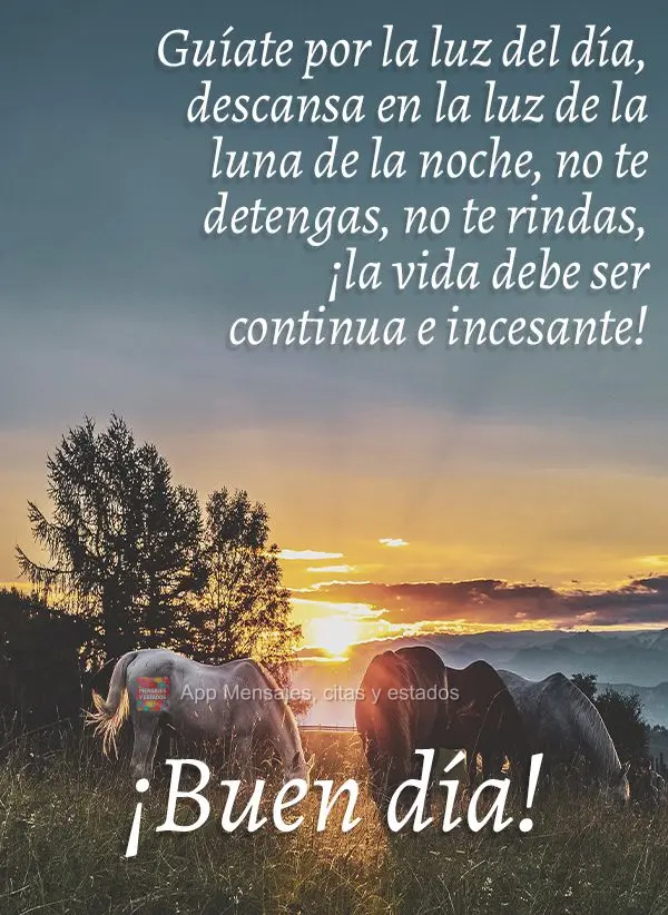 Guíate por la luz del día, descansa en la luz de la luna de la noche, no te detengas, no te rindas, ¡la vida debe ser continua e incesante! ¡Buen dí...