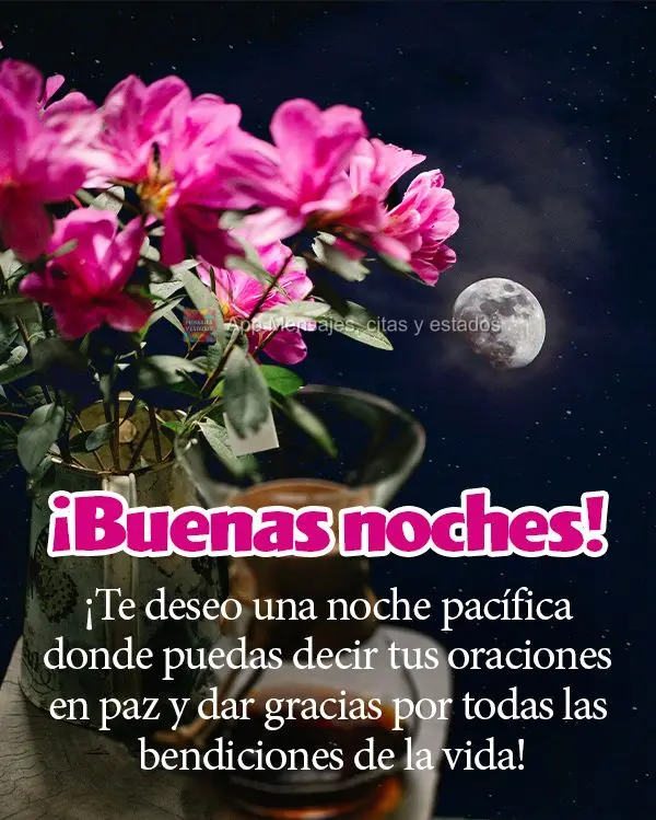Desejo uma noite tranquila, onde você possa fazer as suas orações em paz e agradecer por todas as bênçãos da vida! Boa noite! 