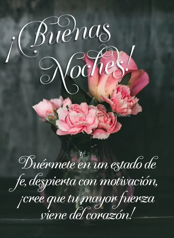 Adormeça em estado de fé, acorde com motivação, acredite que a sua maior força vem do coração! Boa noite! 