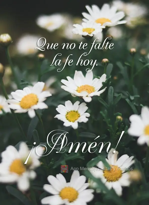 Que no te falte la fe hoy. ¡Amén!