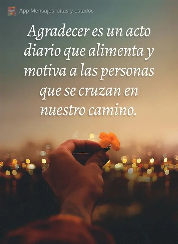 Agradecer é uma ato diário que alimenta e motiva as pessoas que cruzam nosso caminho.