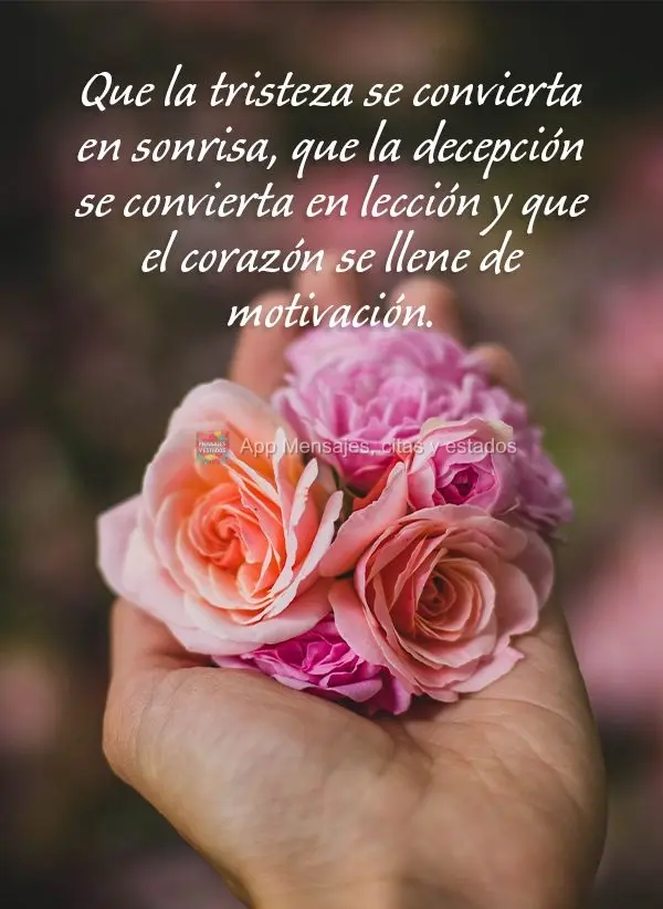 Que a tristeza vire um sorriso, que a decepção se transforme em lição e que o coração se encha de motivação.