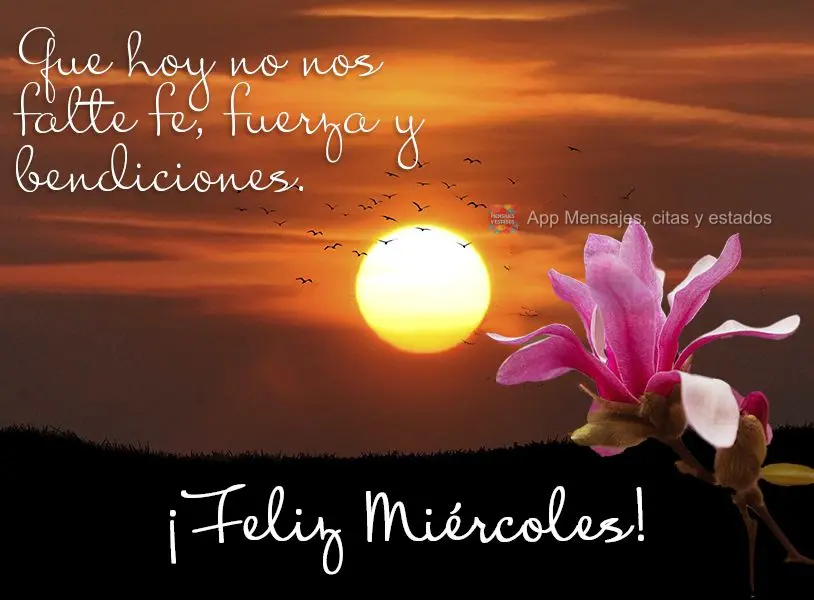 Que hoy no nos falte fe, fuerza y ​​bendiciones. ¡Feliz miércoles!