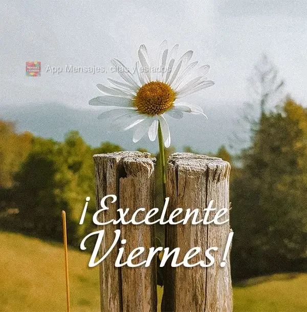 Excelente Sexta-feira!