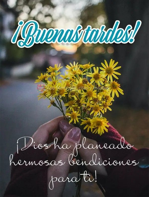 Deus tem planejado lindas bênçãos para você! Boa tarde! 