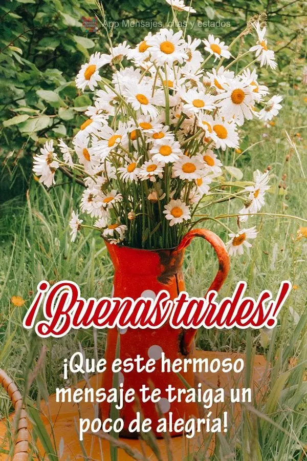 Que esta linda mensagem possa lhe trazer um pouco de alegria! Boa tarde! 