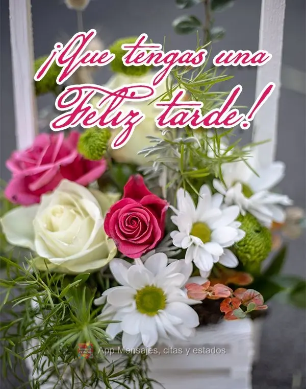 Tenha uma Feliz tarde!