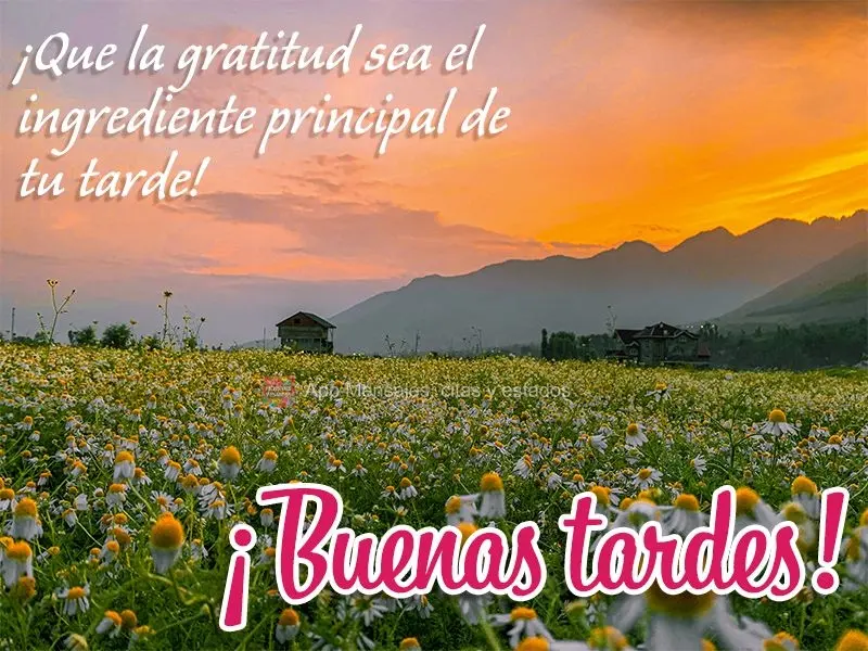 ¡Que la gratitud sea el ingrediente principal de tu tarde! ¡Buenas tardes!