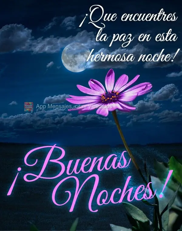 Que você encontre paz nesta linda noite! Boa noite! 