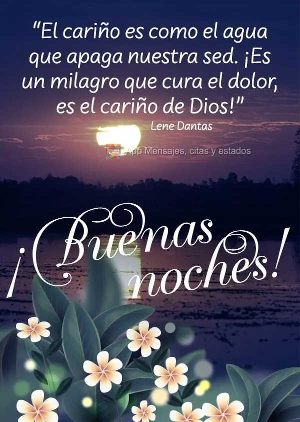 “Afeto é como água que mata a sede da gente. É milagre que cura as dores, é carinho de Deus!” Boa noite!  Lene Dantas