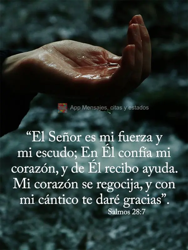 “El Señor es mi fuerza y ​​mi escudo; En Él confía mi corazón, y de Él recibo ayuda. Mi corazón se regocija, y con mi cántico te daré graci...