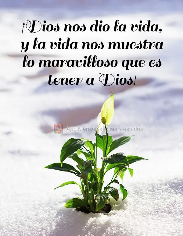 ¡Dios nos dio la vida, y la vida nos muestra lo maravilloso que es tener a Dios!